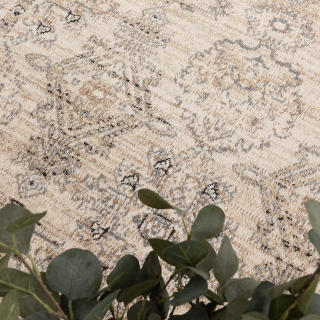 Arya Ziegler Cream Grey Rug - 6890 CREA