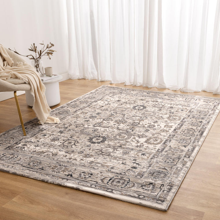 Atina Distressed Transitional Beige Grey Rug - AT05