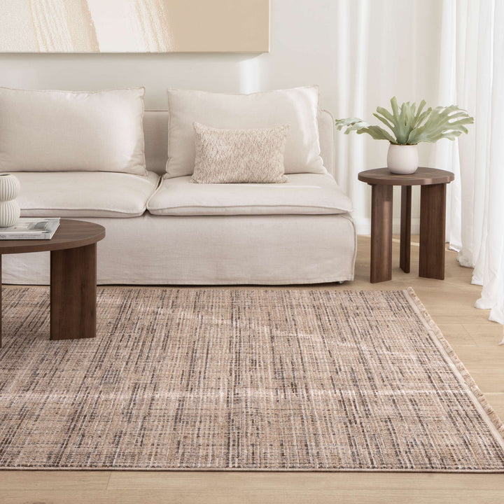 Cherie Distressed Look Beige Grey Rug - CH03- New Arrival