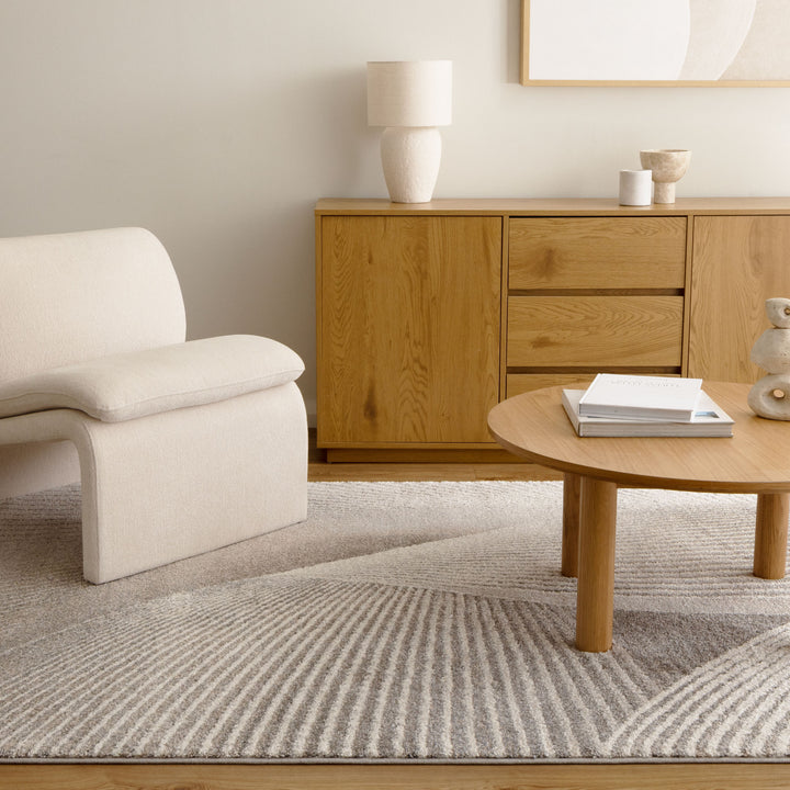 Dorado Abstract Contour Grey Beige Rug (D009)