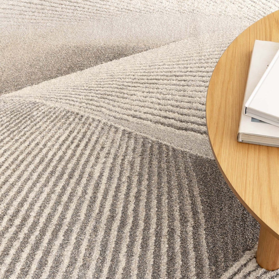 Dorado Abstract Contour Grey Beige Rug (D009)