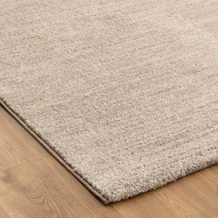 Dorado Minimalist Tonal Beige Rug (D010)