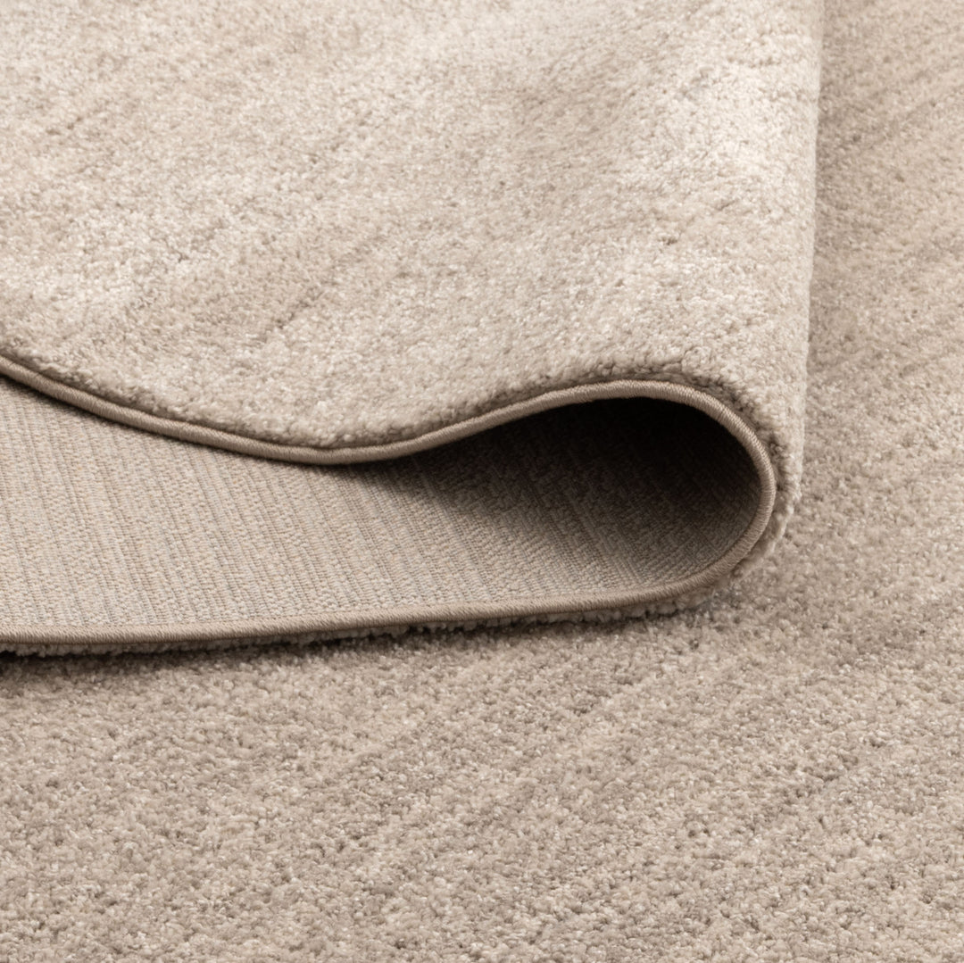 Dorado Minimalist Tonal Beige Rug (D010)