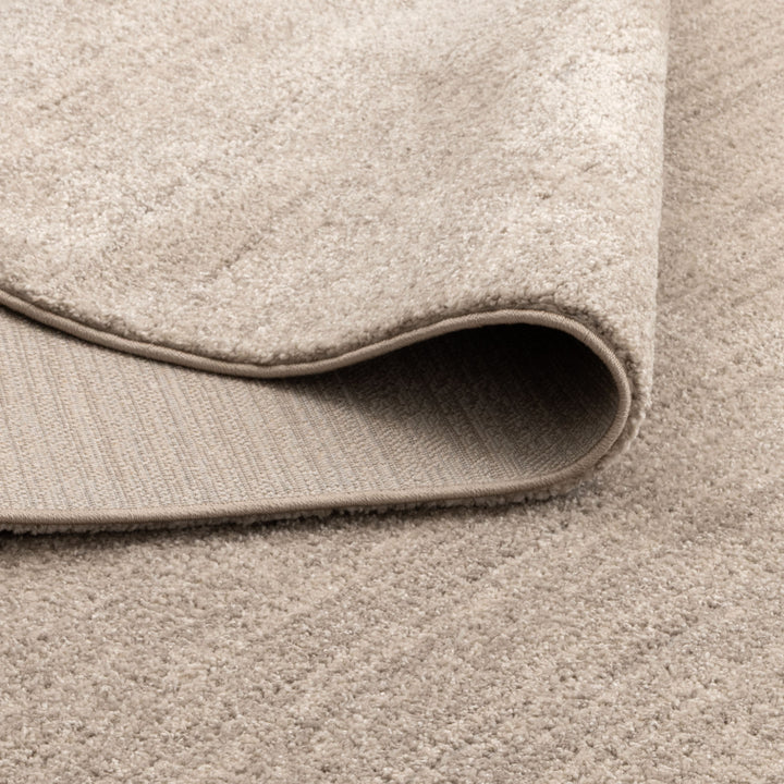 Dorado Minimalist Tonal Beige Rug (D010)