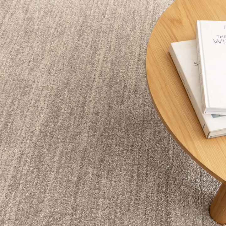 Dorado Minimalist Tonal Beige Rug (D010)