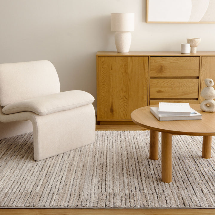Dorado Textured Look Border Grey Beige Rug (D012)