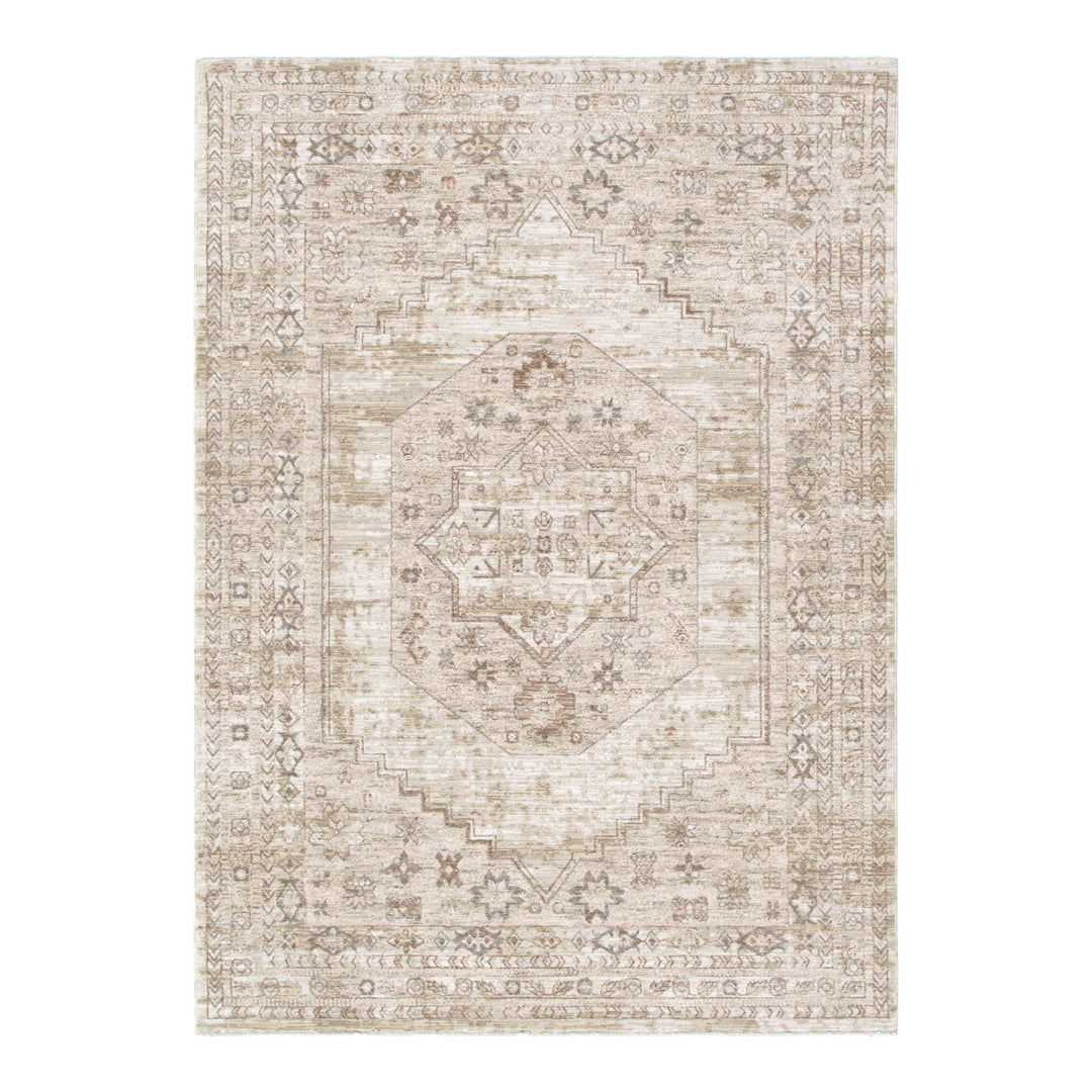 D101- Delphine Sahara Medallion Vintage Rug- New Arrival