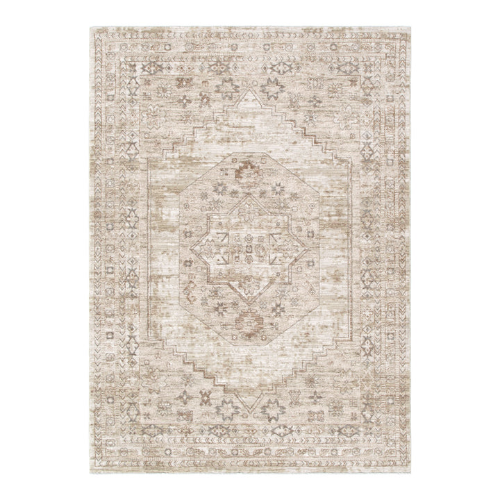 D101- Delphine Sahara Medallion Vintage Rug- New Arrival