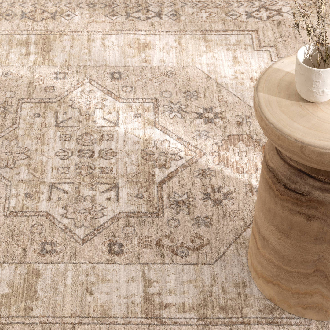 D101- Delphine Sahara Medallion Vintage Rug- New Arrival