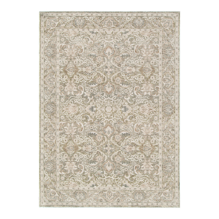 D102- Delphine Regal Green Beige Vintage Rug- New Arrival