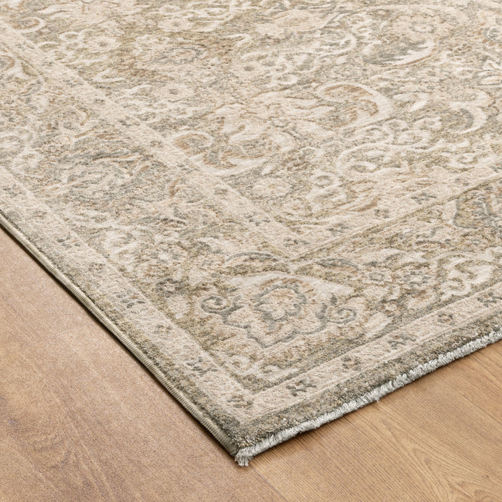 D102- Delphine Regal Green Beige Vintage Rug- New Arrival