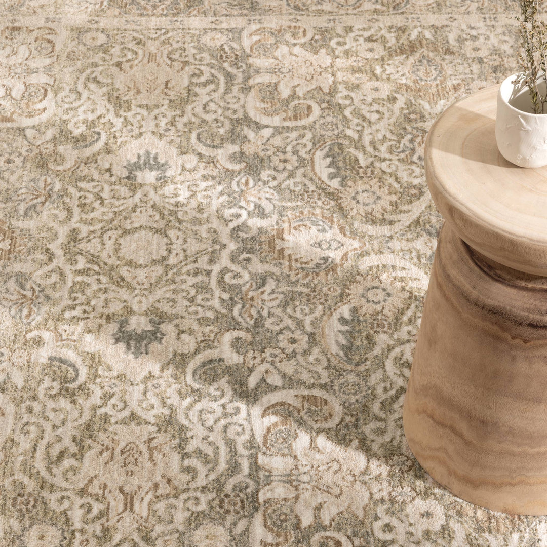 D102- Delphine Regal Green Beige Vintage Rug- New Arrival