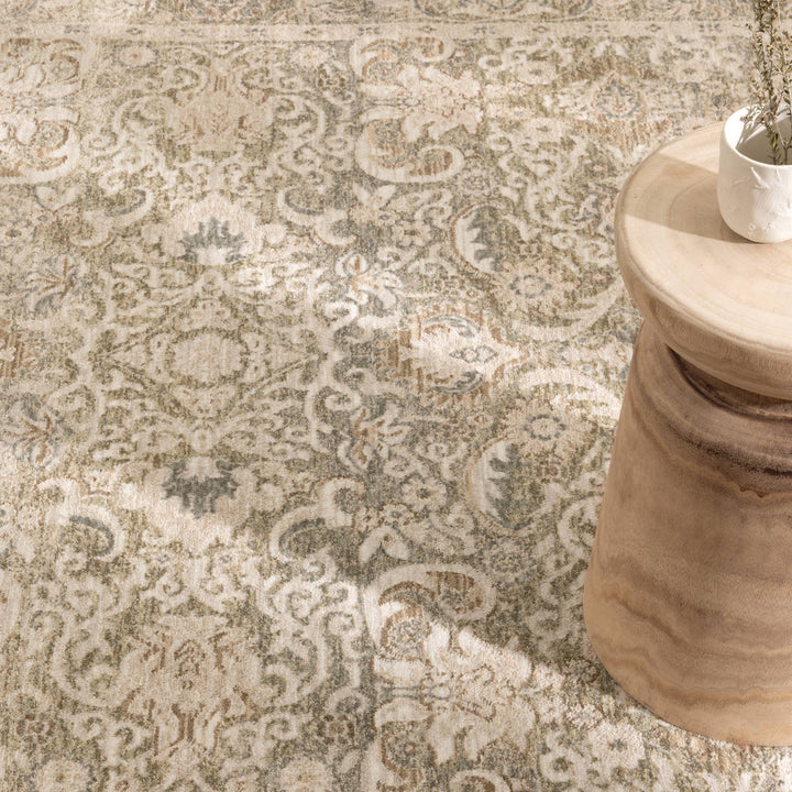 D102- Delphine Regal Green Beige Vintage Rug- New Arrival