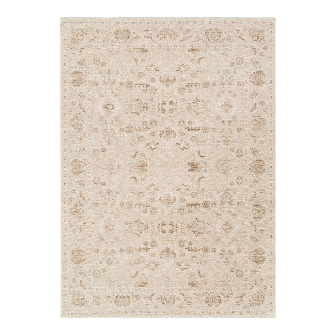 D103- Delphine Warm Biscotti Vintage Beige Rug- New Arrival