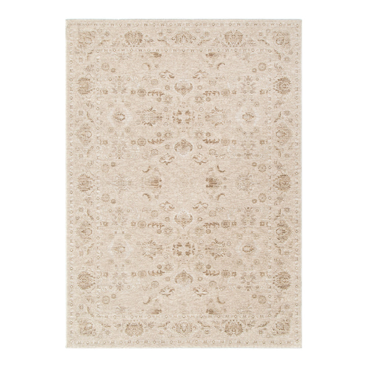 D103- Delphine Warm Biscotti Vintage Beige Rug- New Arrival