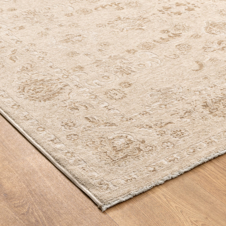 D103- Delphine Warm Biscotti Vintage Beige Rug- New Arrival