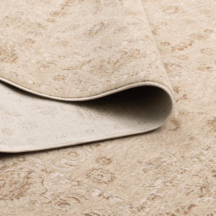 D103- Delphine Warm Biscotti Vintage Beige Rug- New Arrival