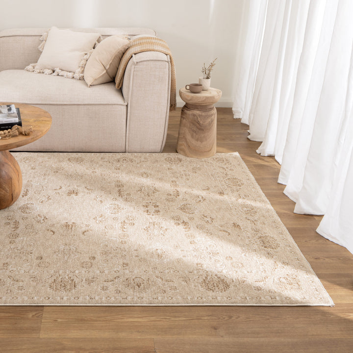 D103- Delphine Warm Biscotti Vintage Beige Rug- New Arrival