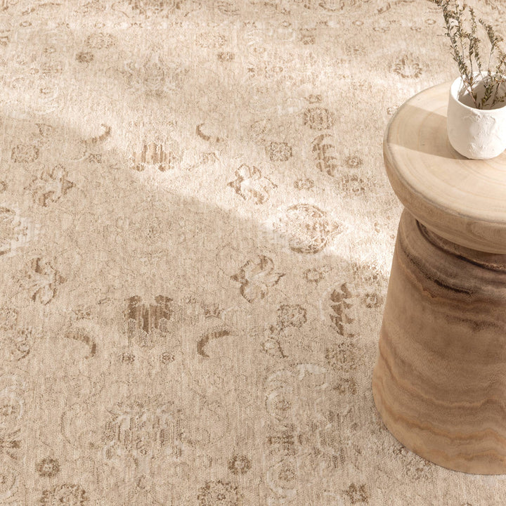 D103- Delphine Warm Biscotti Vintage Beige Rug- New Arrival