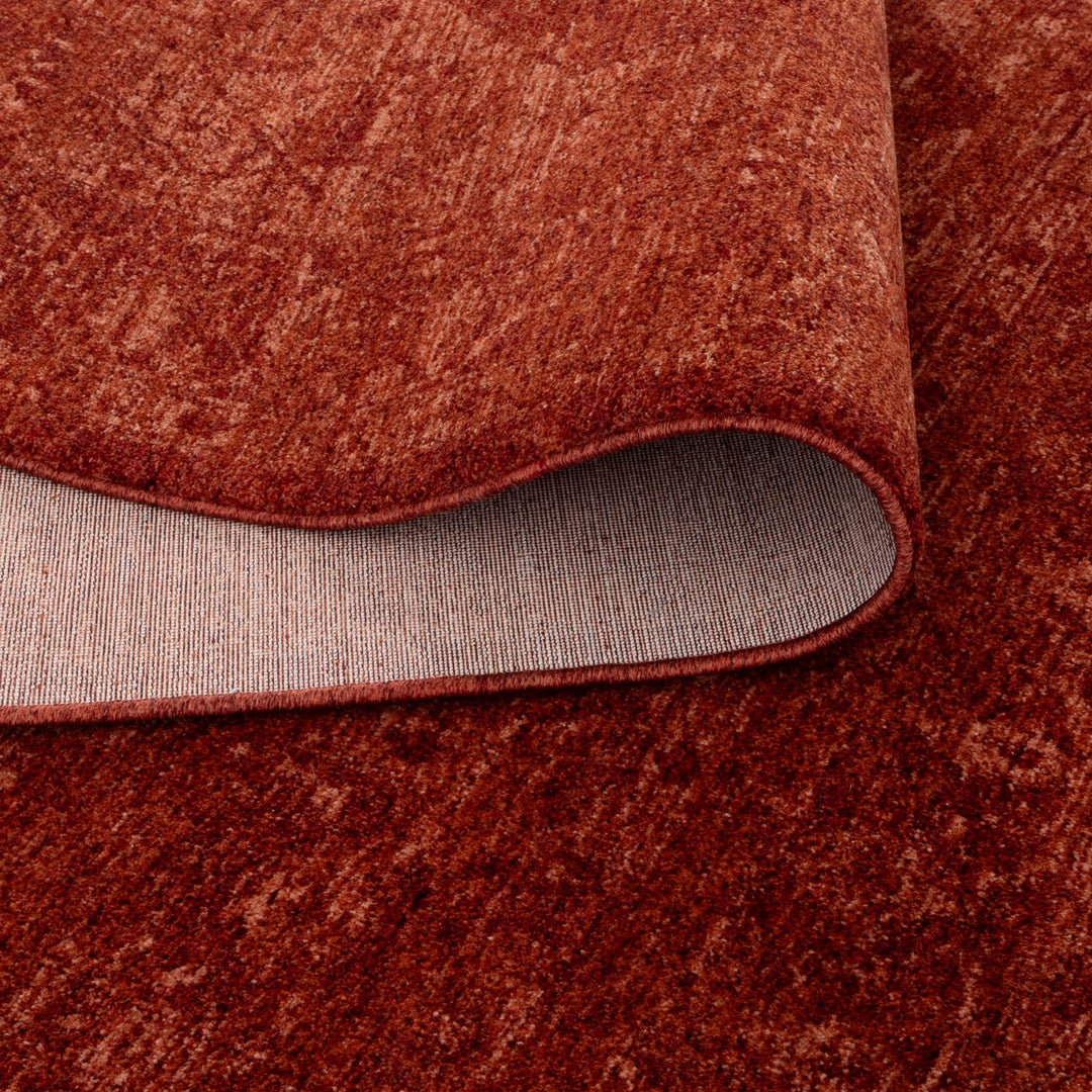 Heritage Distressed Medallion Rust Rug - H101