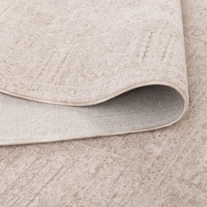 Heritage Distressed Border Beige Rug - H106
