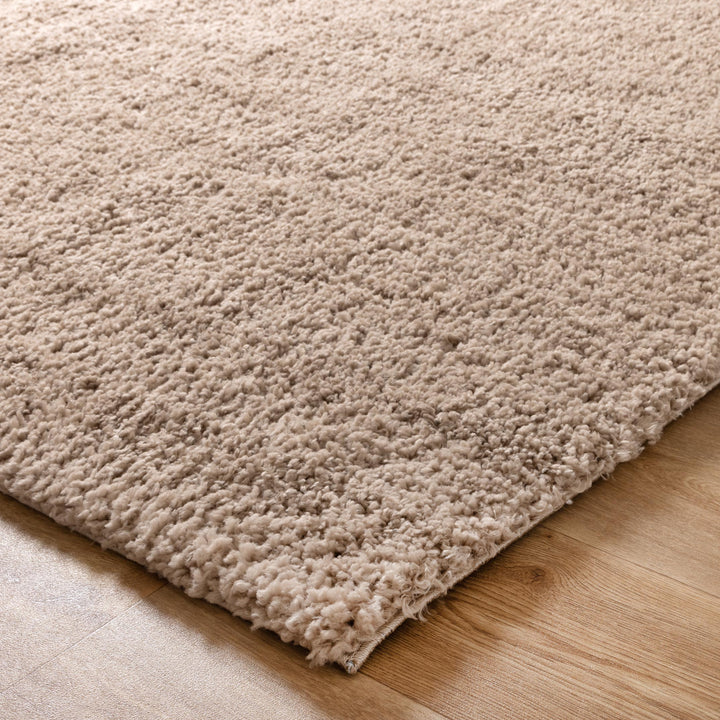 CANDY SHAGGY   CAND01 L.BEIGE/L.BEIGE (PC00B_CA222)