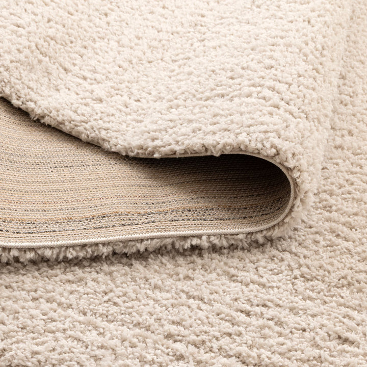 Plush Shaggy Beige Rug