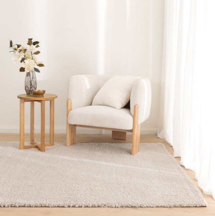 Plush Shaggy Beige Rug