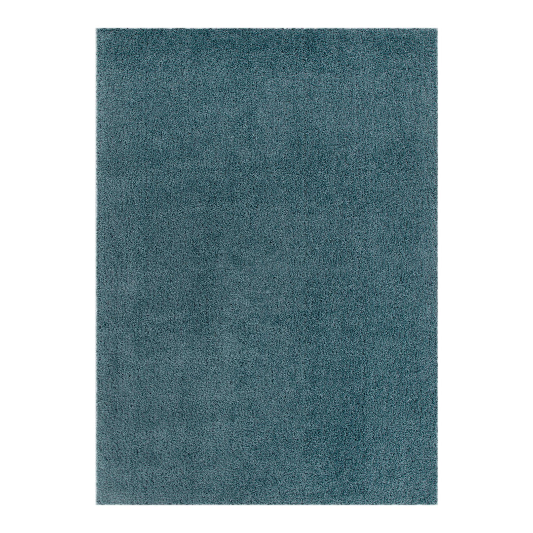 Plush Shaggy Teal Rug