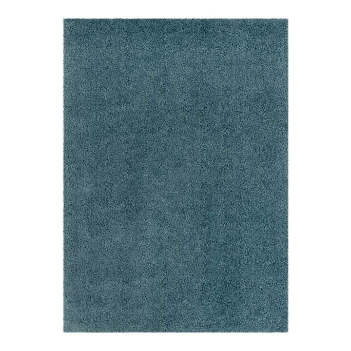 Plush Shaggy Teal Rug