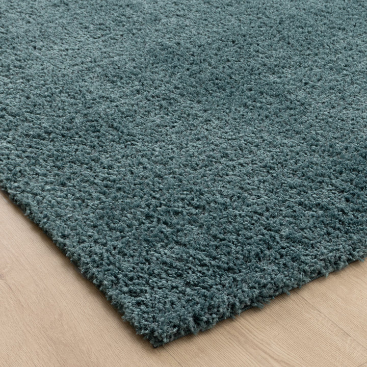 Plush Shaggy Teal Rug