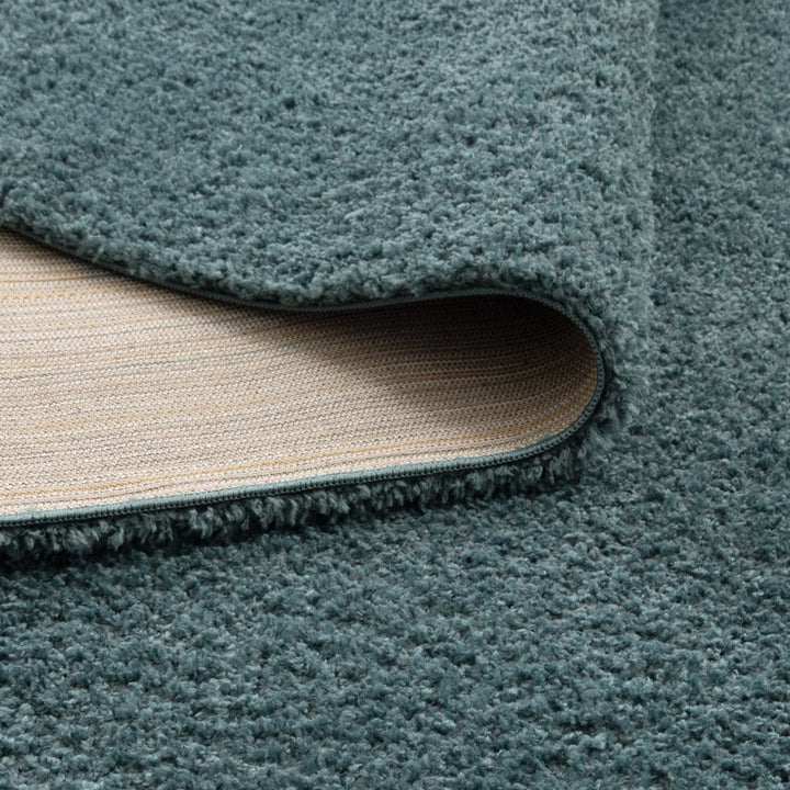 Plush Shaggy Teal Rug
