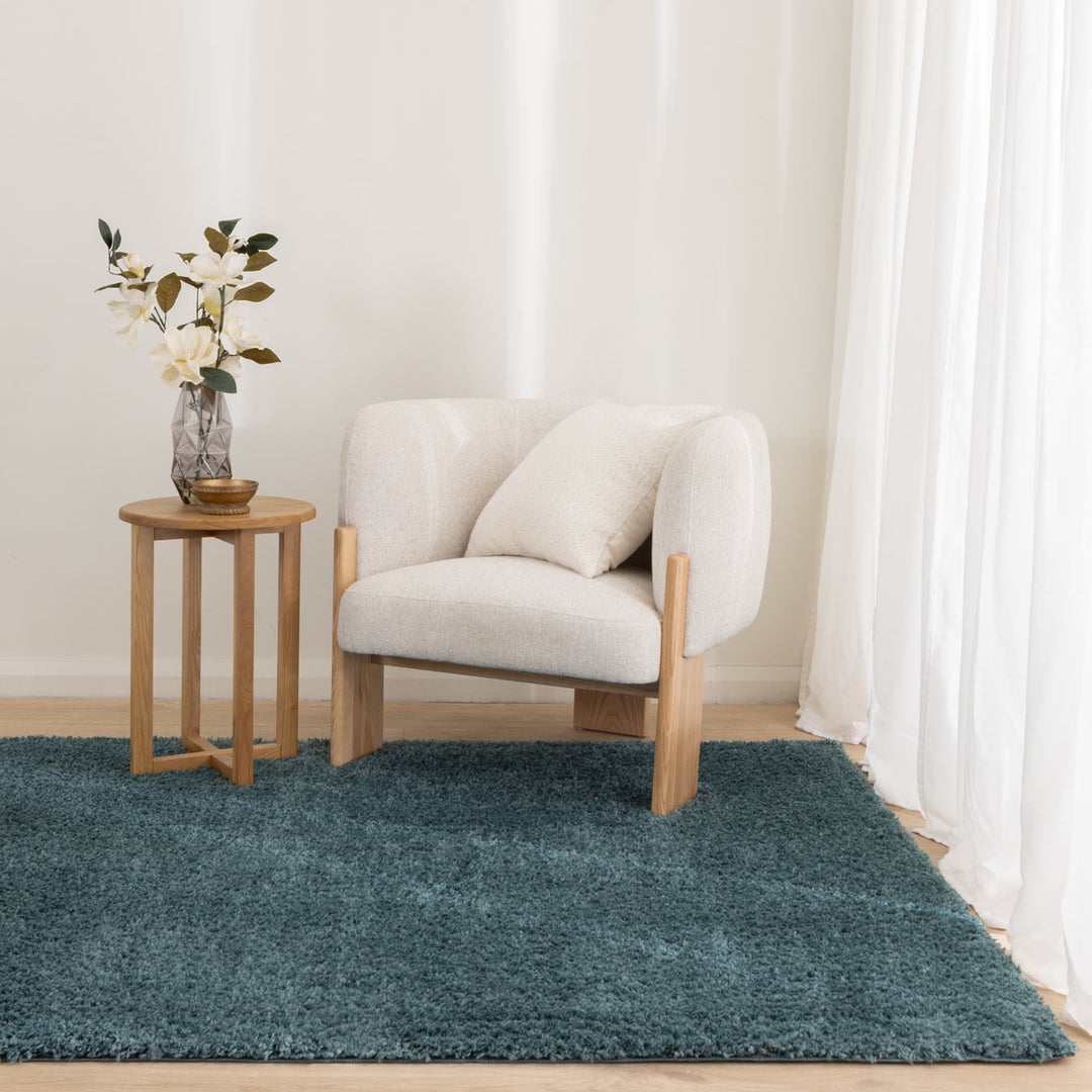 Plush Shaggy Teal Rug