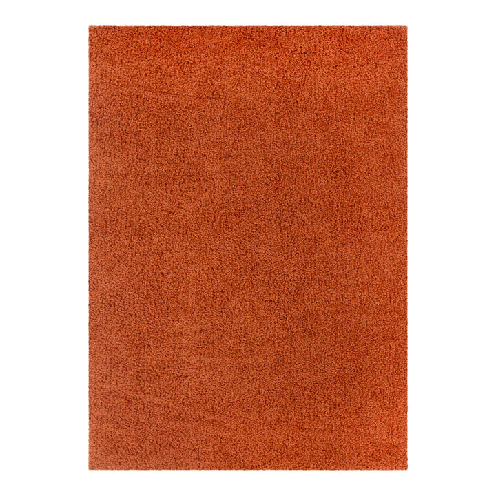 Plush Shaggy Terracotta Rug