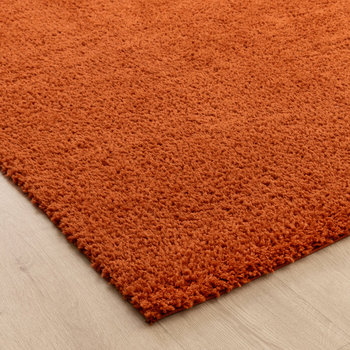 Plush Shaggy Terracotta Rug