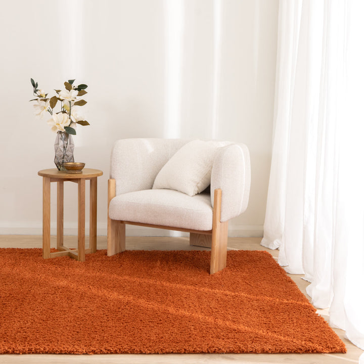 Plush Shaggy Terracotta Rug