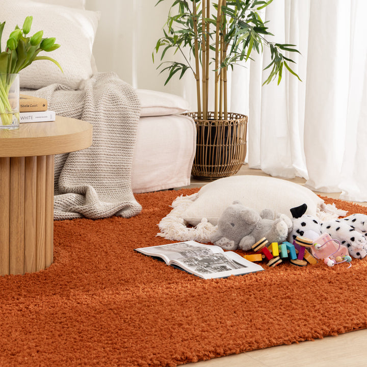 Plush Shaggy Terracotta Rug