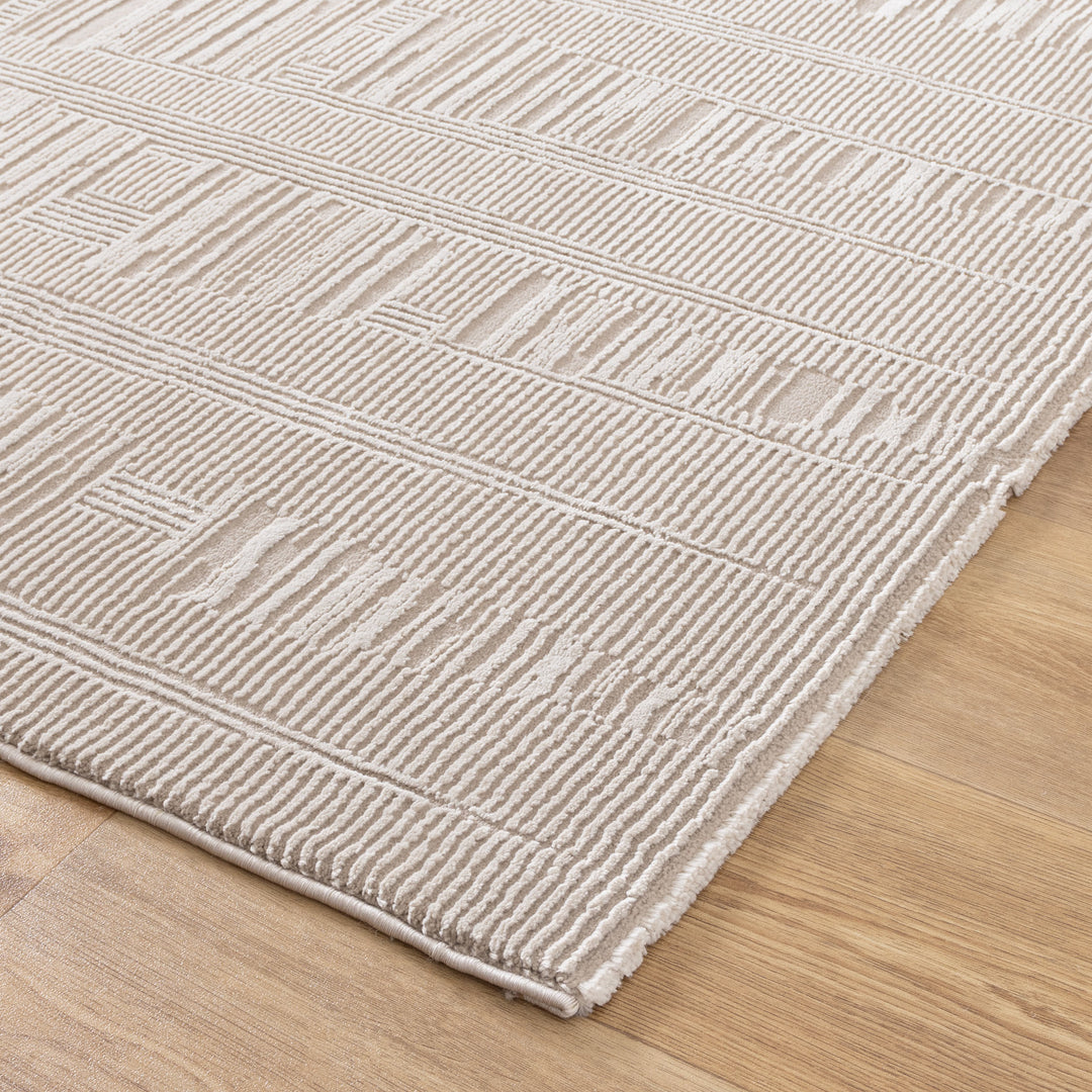 Sign Dimensions Beige Rug S004 – Brand Ventures Pty Ltd