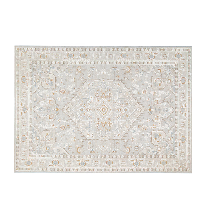 Trend Medallion Beige Multi Transitional Rug - T200