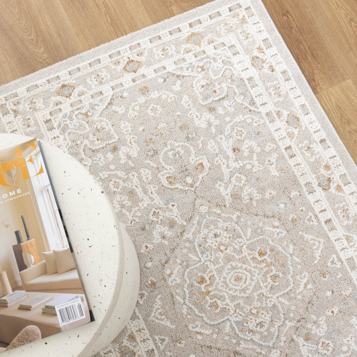 Trend Medallion Beige Multi Transitional Rug - T200