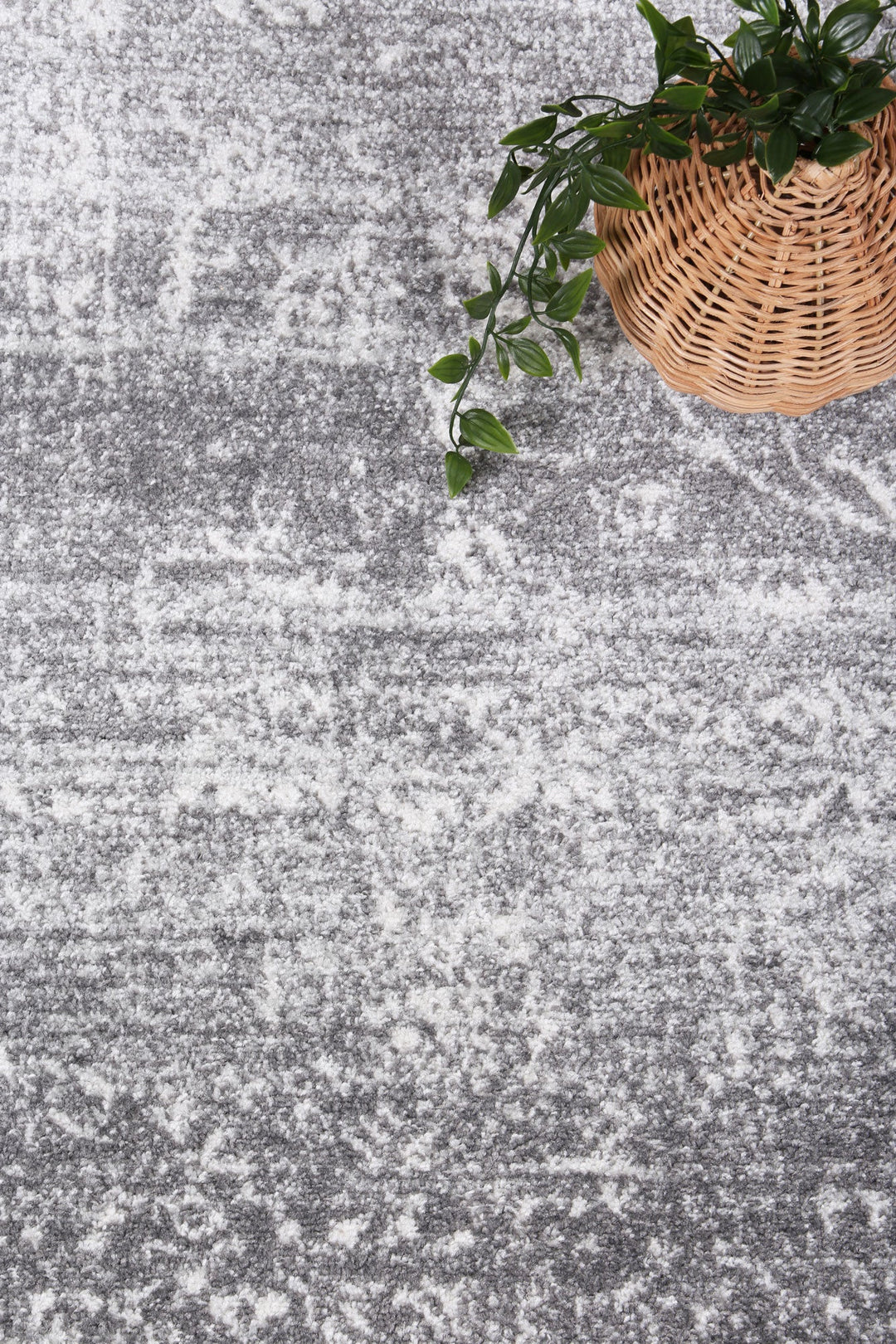 Provence Avignon Grey Traditional Rug - 015