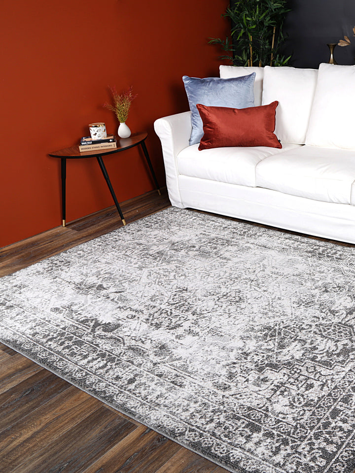 Salsa Carine Ivory & Grey Transitional Rug - SALS08