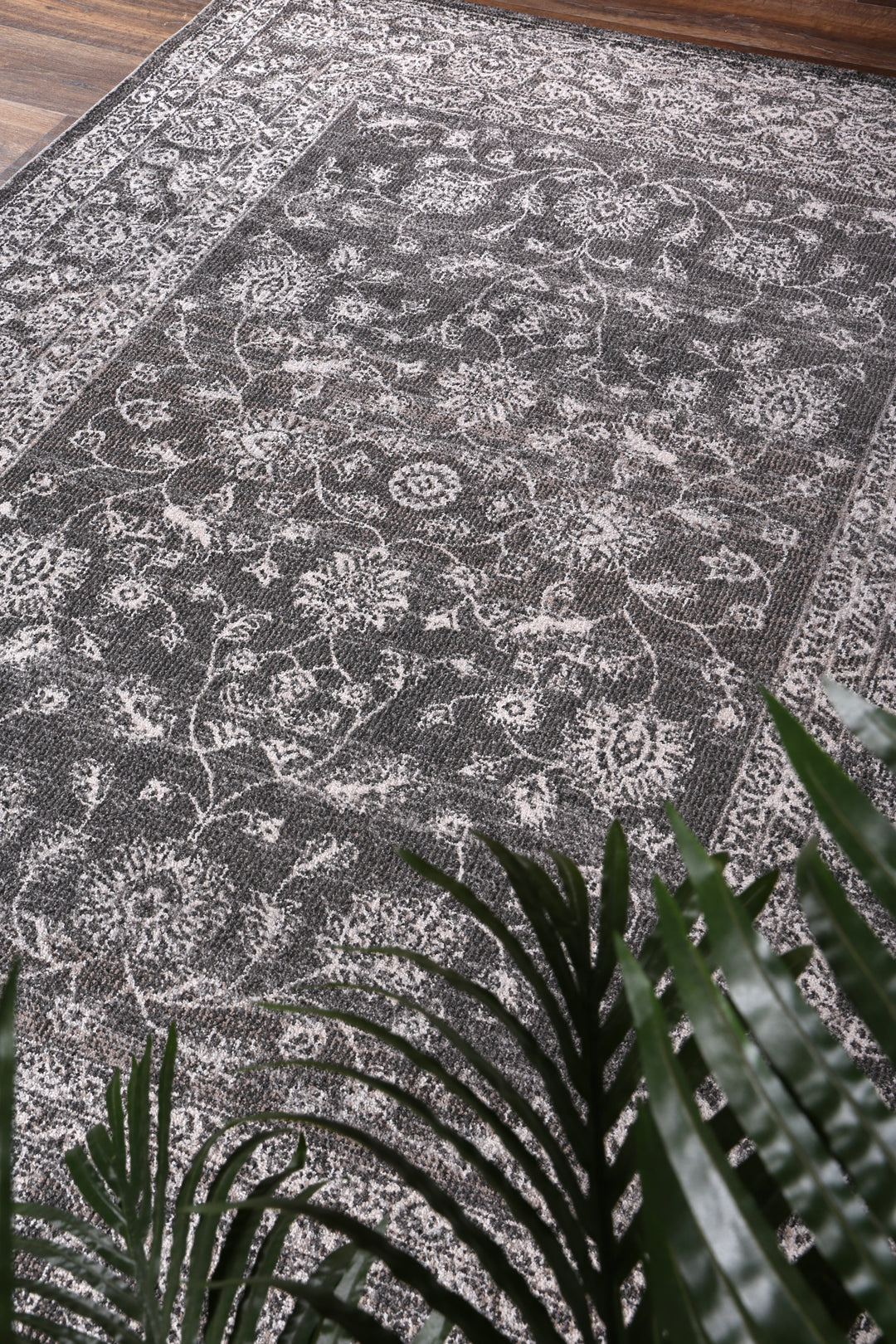 Salsa Dorian Grey Transitional Rug - SALS12